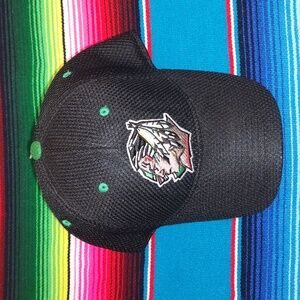 NCAA North Dakota Fighting Sioux Retired Logo Green Black Fitted Hat Cap OS